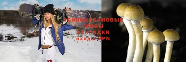 мдпв Магадан