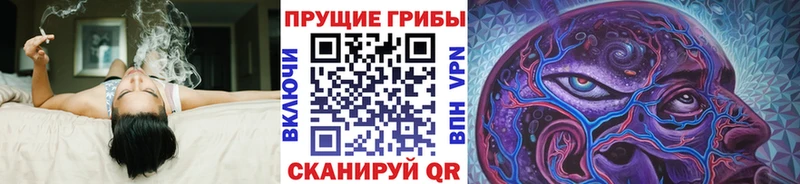 Галлюциногенные грибы мухоморы  Карасук 