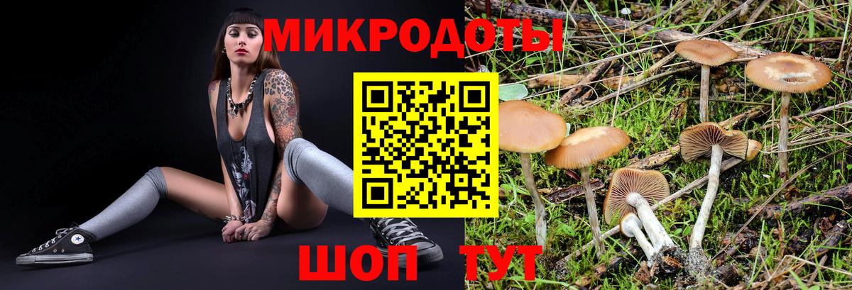 Псилоцибиновые грибы MAGIC MUSHROOMS Карасук